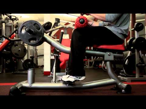 Seated Calf Raise Machine