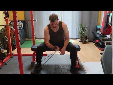 Resistance Bands Concentration Curls